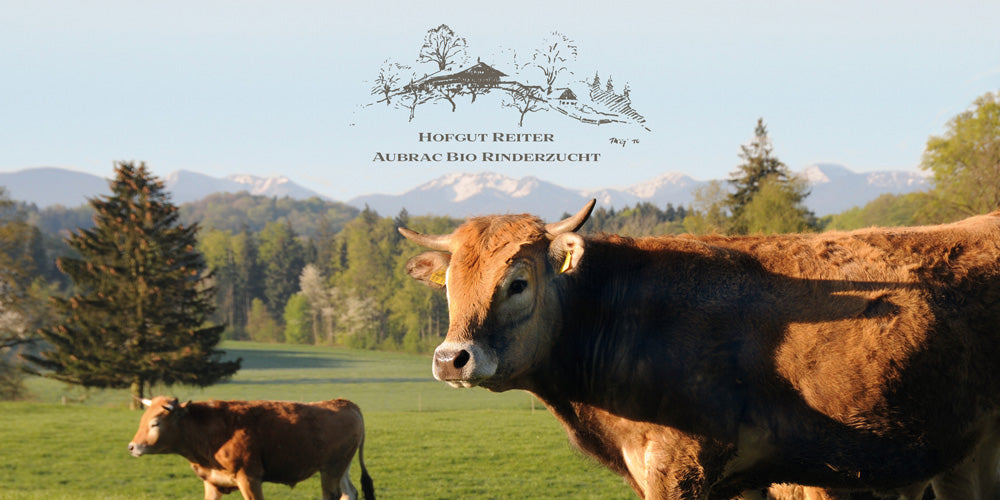 Geschenkgutscheine ab 25 €