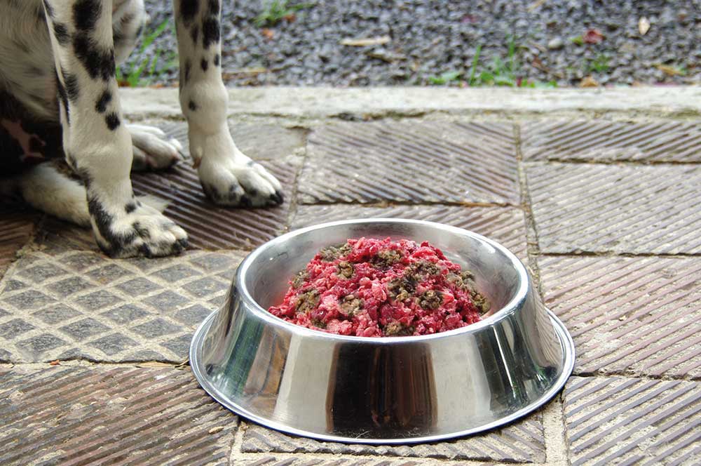 Tiernahrung gemischt mit Pansen vom Aubrac-Rind